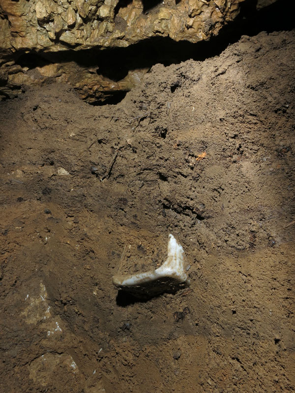 107X. Tisovec - říjen 2019