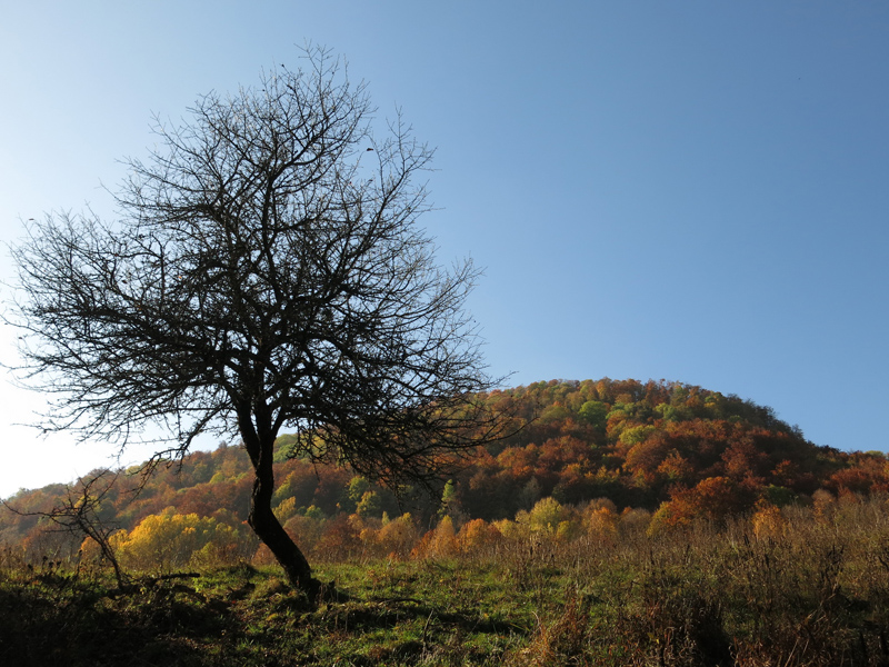 Tisovec, Klenovské vrchy - říjen 2018