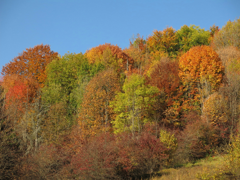 Tisovec, Klenovské vrchy - říjen 2018