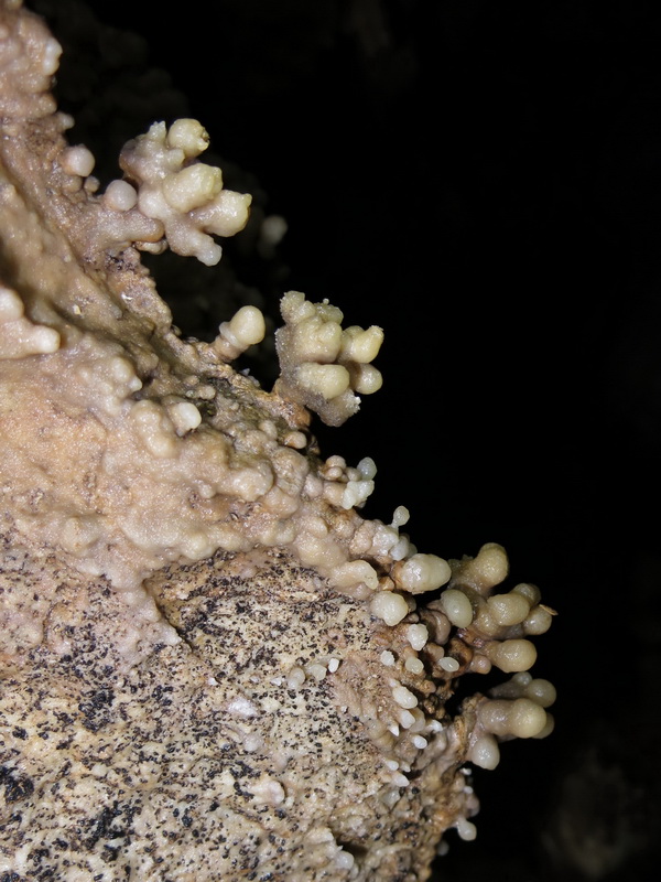 Tisovec - listopad 2016