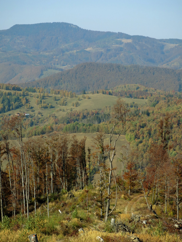 Tisovec, Klenovské vrchy - říjen 2018