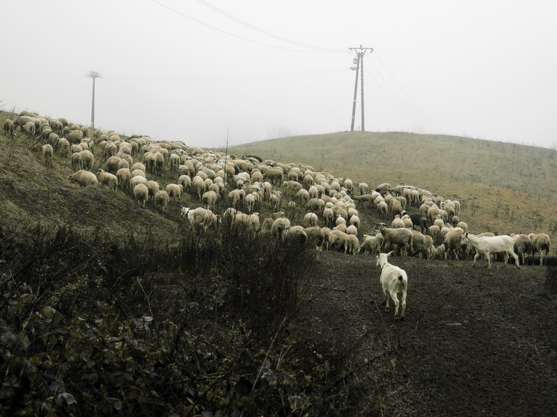 Tisovec - listopad 2016