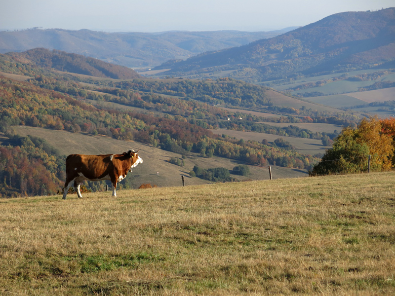 Tisovec, Klenovské vrchy - říjen 2018