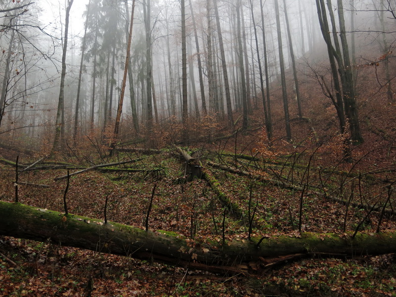 Tisovec - listopad 2016