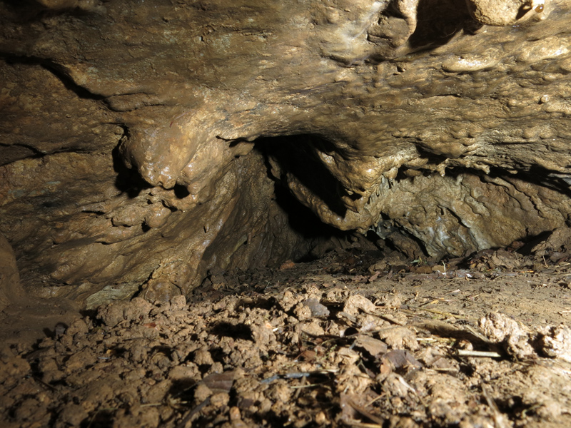 Moravský kras - srpen 2017