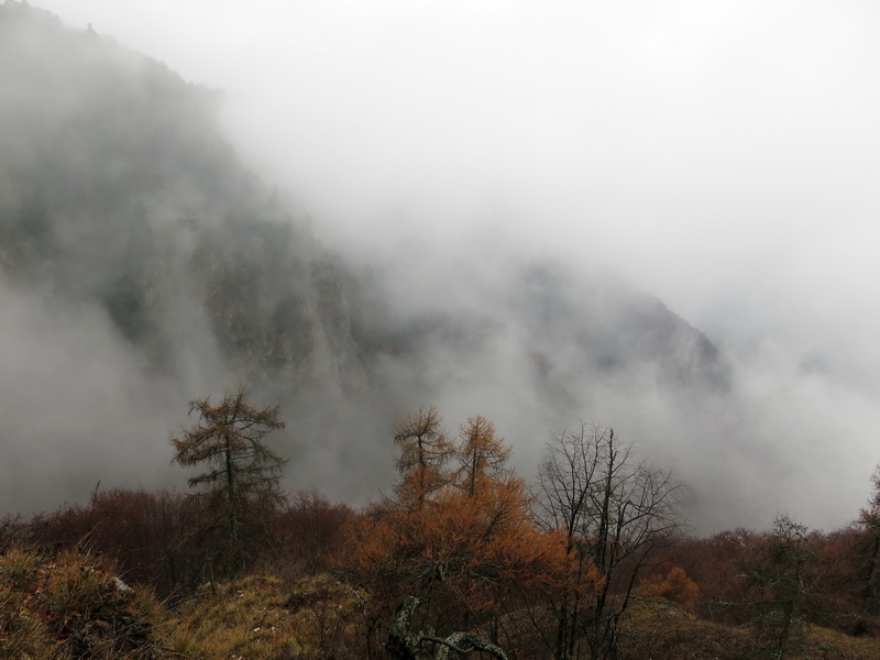 Tisovec - listopad 2016