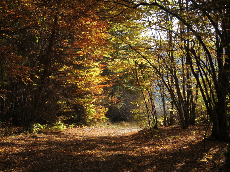 Tisovec, Klenovské vrchy - říjen 2018