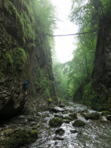 Rumunsko - Padiš - květen 2018