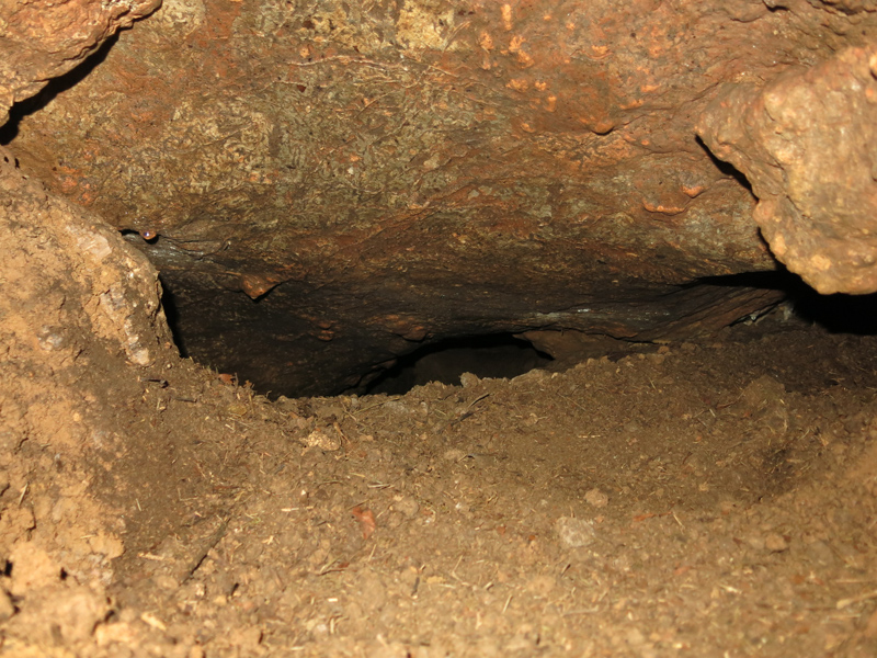 Moravský kras - květen 2018