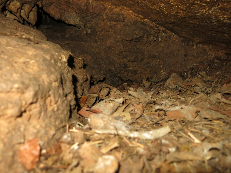 Moravský kras - květen 2018