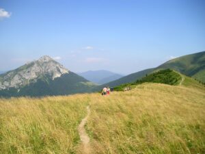 Malá Fatra 2012