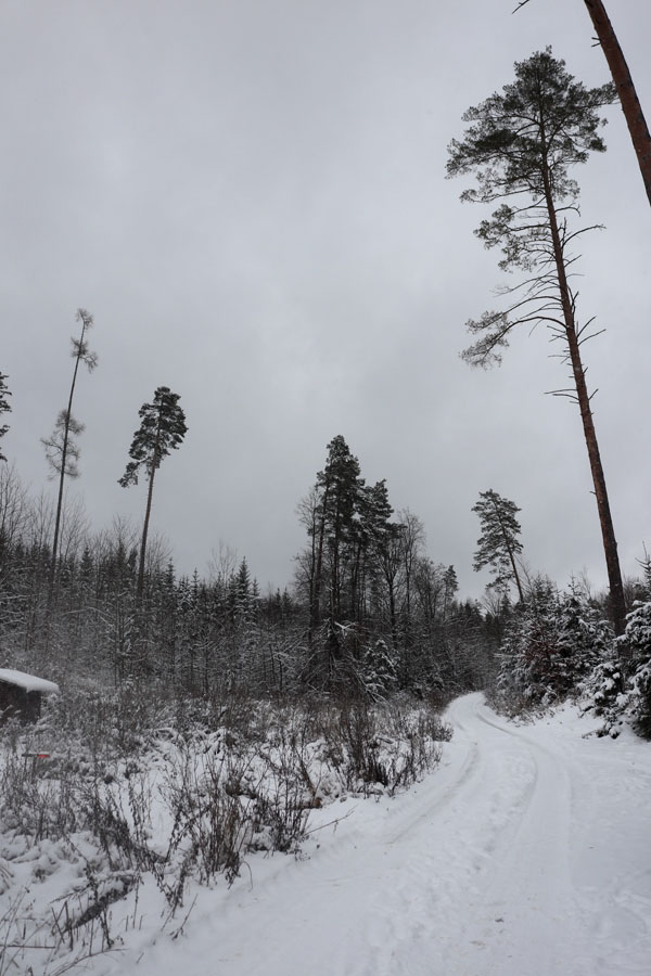 Moravský kras - prosinec 2023
