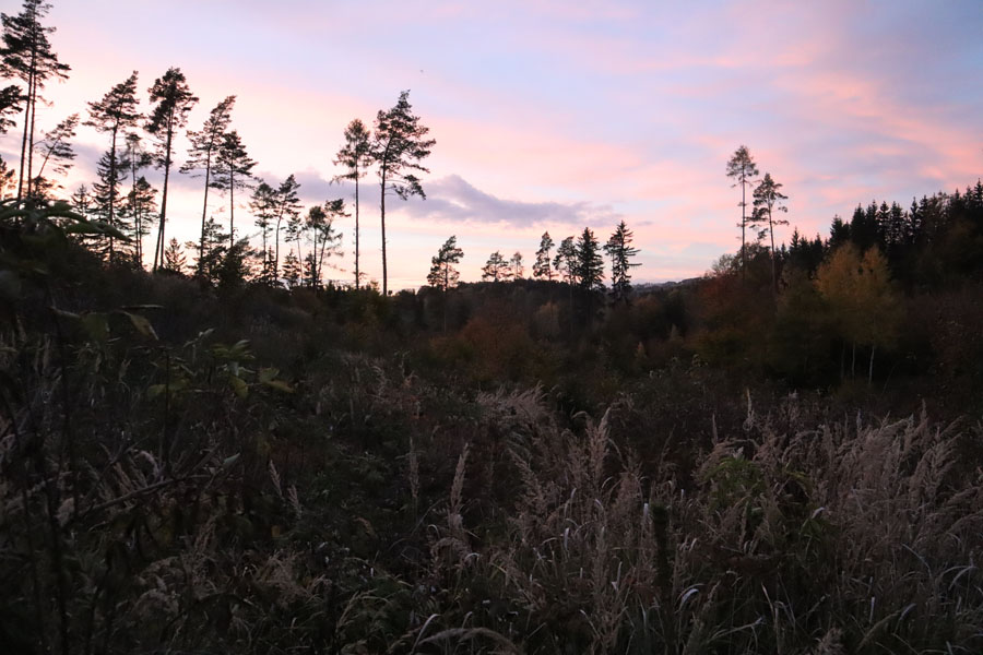 Moravský kras