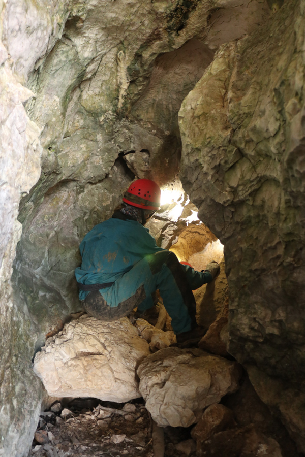 Jeskyně škorpionů