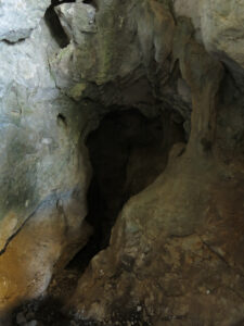 Jeskyně škorpionů