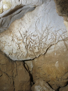 Jeskyně škorpionů