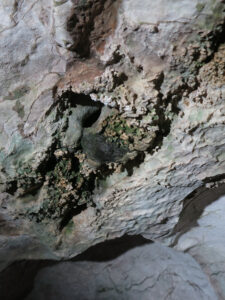 Jeskyně škorpionů