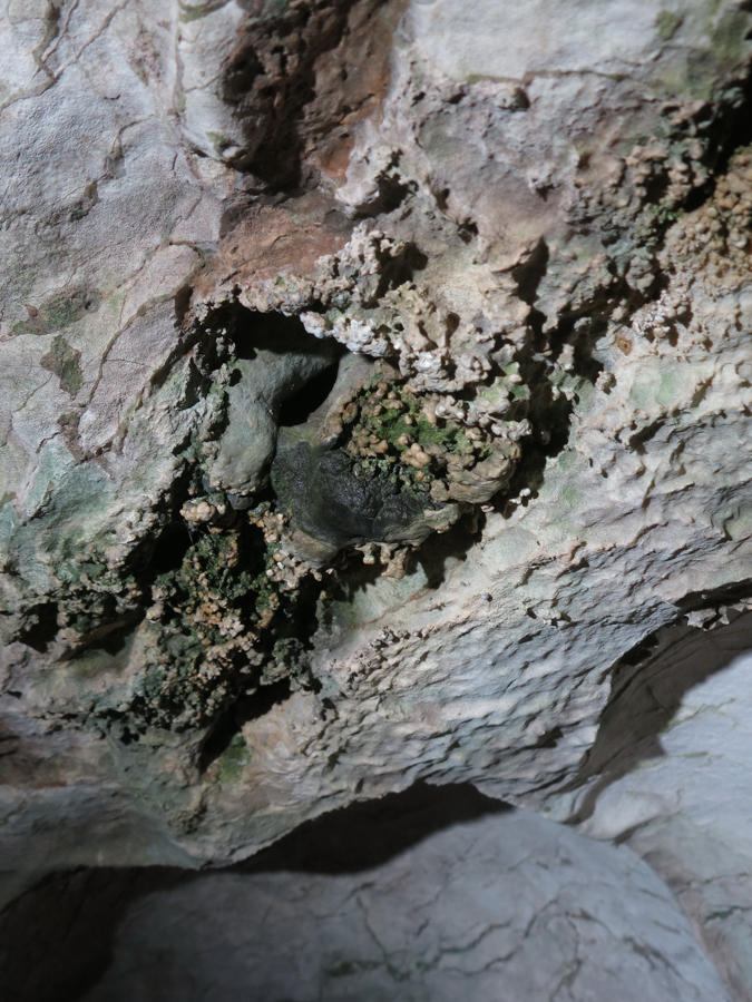 Jeskyně škorpionů