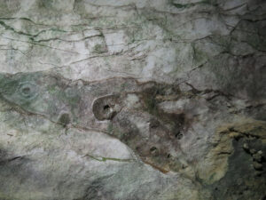 Jeskyně škorpionů