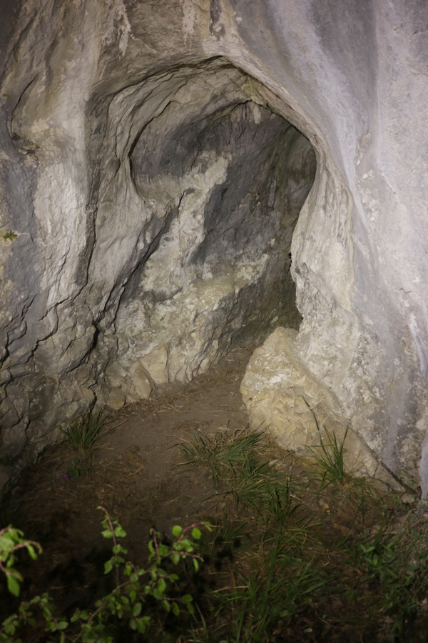 Jeskyně škorpionů