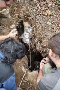 Propast česko-rumunského přátelství