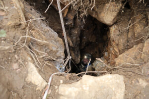 Propast česko-rumunského přátelství