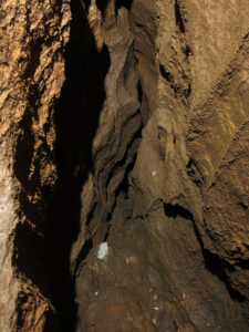 Propast česko-rumunského přátelství