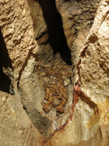 Propast česko-rumunského přátelství