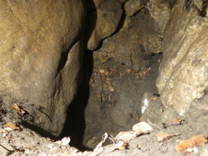 jeskyně Masturbační