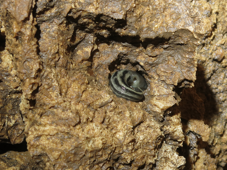 jeskyně Masturbační