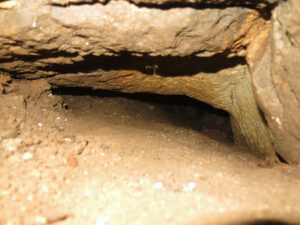 jeskyně Plechová myš