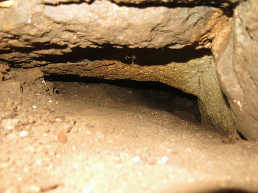 jeskyně Plechová myš