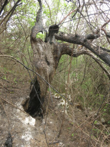 jeskyně Spáleniště