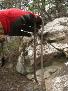 jeskyně Spáleniště