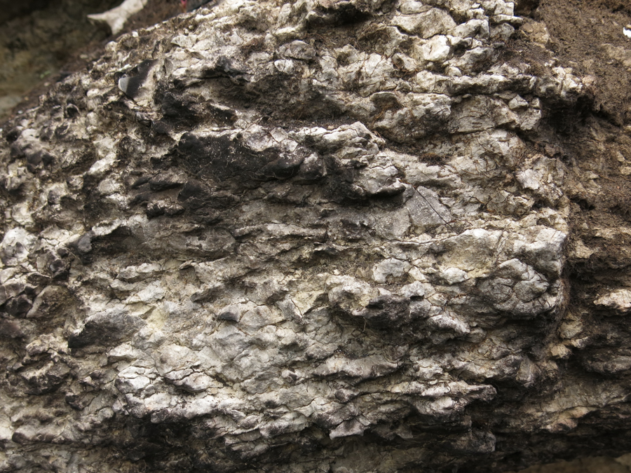 jeskyně Spáleniště