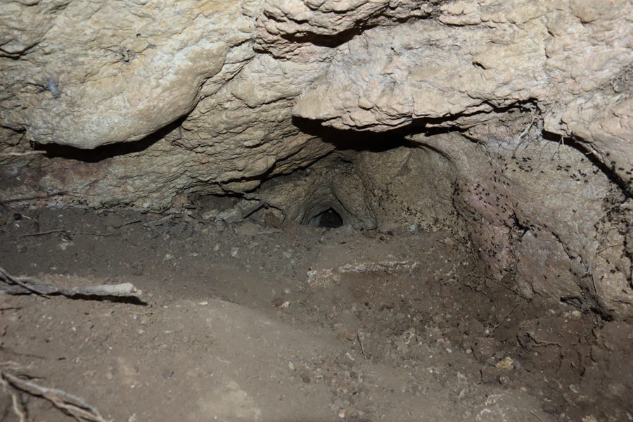 jeskyně Spáleniště